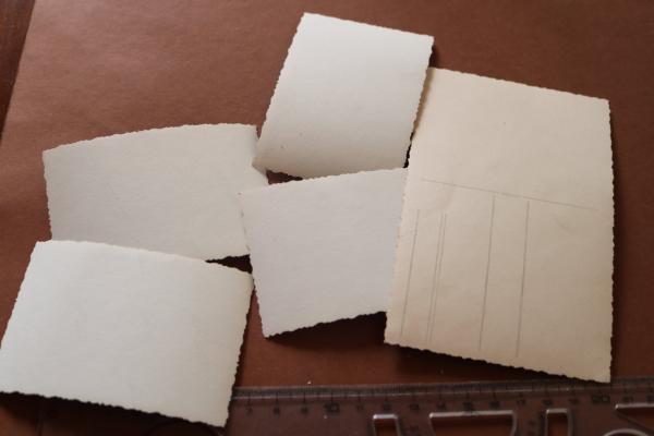 fünf alte Fotos eines SS Mannes mit EK I